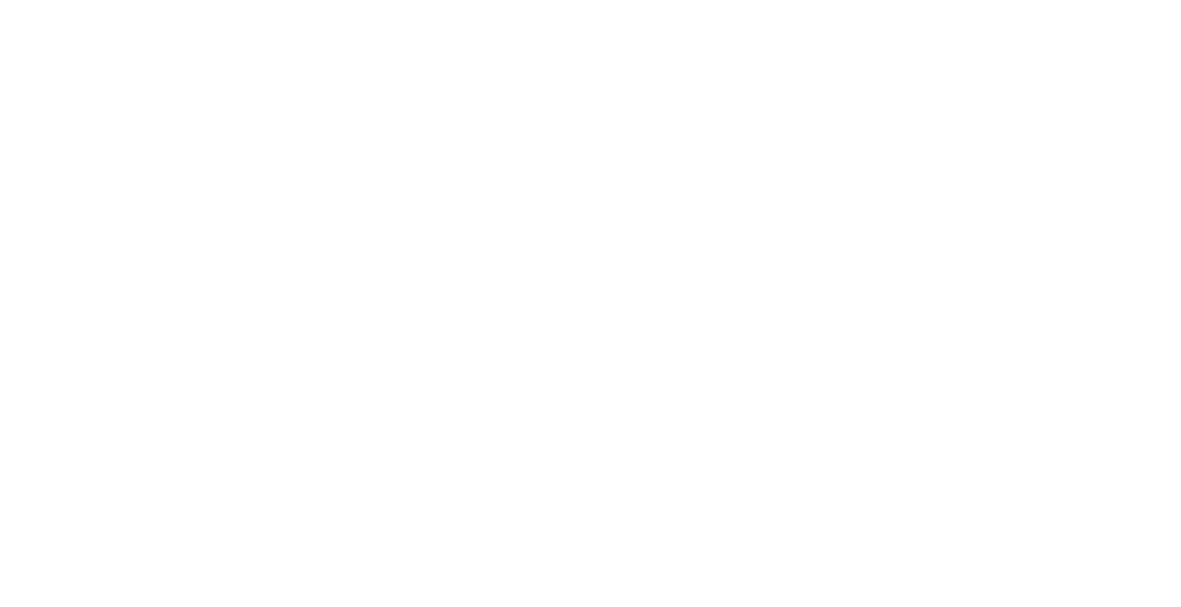 Flekssit